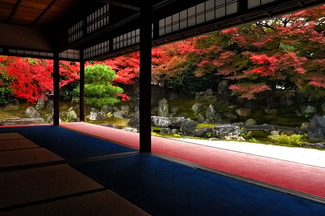京都・圓徳院の紅葉